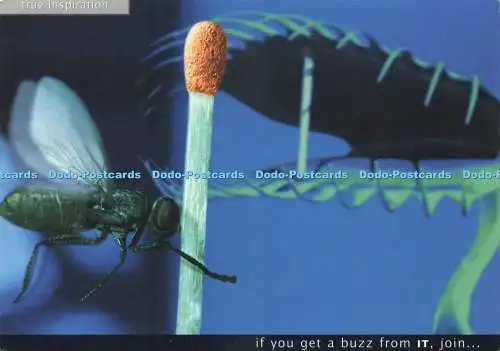 D229061 Wahre Inspiration, wenn Sie davon begeistert sind, treten Sie Cinema Boomerangmedia bei