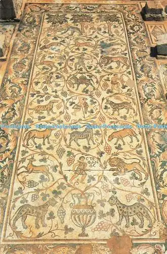 D236054 Mount Nebo Uyun Musa Valley The Church of the Deacon Thomas Archive of t