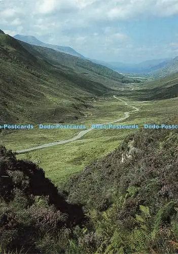 D238409 Wester Ross Glen Docherty Phil Banks