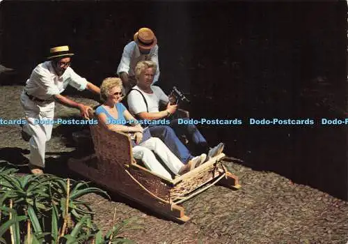 D232564 Madeira Korbwagen Bernardino V G Carvao