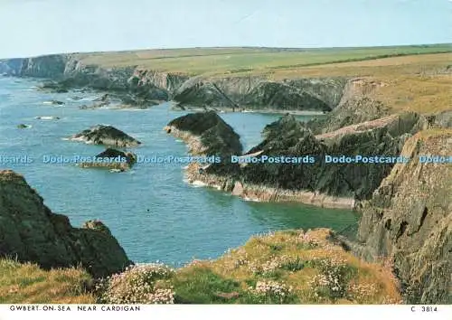 D232583 Gwbert on Sea near Cardigan Judges Postcards Ltd C 3814