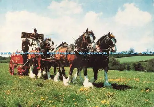 D233920 Maidenhead Courage Shire Horse Centre Colin Richardson Printers Limited