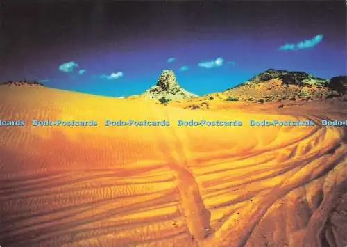 D232608 Desert Tracks Boomerang Michelle Dry