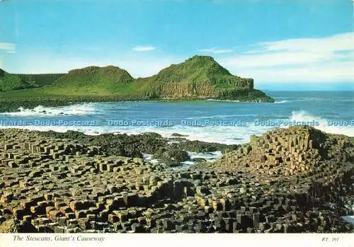D229304 Giant Causeway The Steucans
