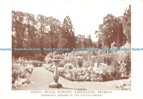 D233954 Peebles Eddleston Hotel schwarze Baronie krautige Grenzen im ummauerten Ga