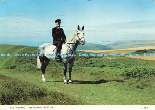 D236215 Eastbourne The Downs Ranger Judges C586