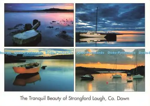 D236216 Co Down The Tranquil Beauty of Strangford Lough John Hinde Simon Brown M