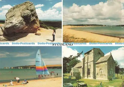D238532 Studland Shell Bay The Delpool Picture Library Dolphin Printers Michael
