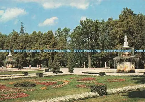 D232685 Petrodvorets Die römischen Brunnen Aurora Kunstverlag UdSSR I Blanko und