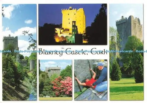 D238593 Cork Blarney Castle John Hinde Peter O Toole Multi View