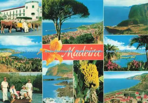 D236283 Madeira Die beste Aussicht auf Madeira Hans Huber F Ribeiro Multi View