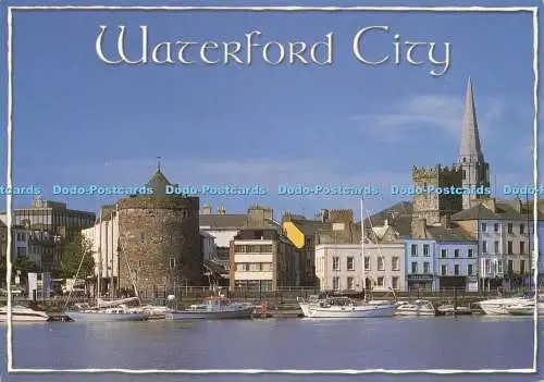 D238594 Waterford Castle John Hinde Peter O Toole