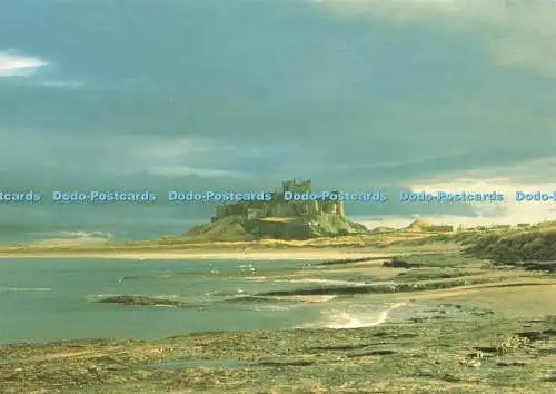 D229429 Bamburgh Castle and Beach Beric Tempest Adrian Bell