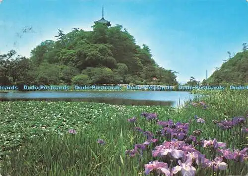 D236349 Japan A Summer Of Sankeien Garden Fukuda Karte