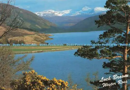 D232772 Wester Ross Loch Broom Whiteholme of Dundee Gordon Henderson