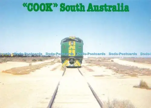 D238659 Cook South Australia Souvenirs Australien PTT Karte