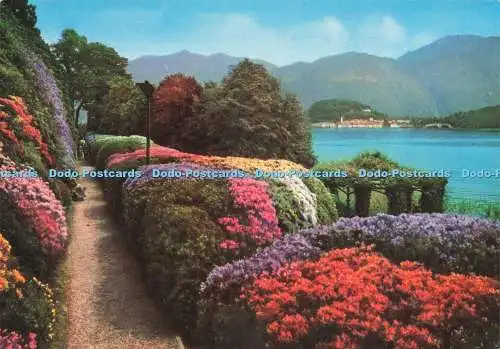 D229460 Comer See Villa Carlotta Azaleen in Blume Brunner und C