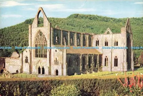 D236376 Monmouthshire Tintern Abbey J Arthur Dixon