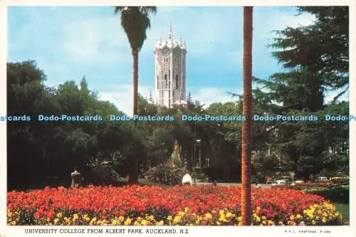 D232797 N Z Auckland University College from Albert Park P P L Hastings
