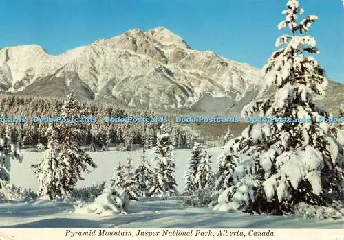 D236382 Canada Pyramid Mountain Jasper National Park Rowed and O Neill