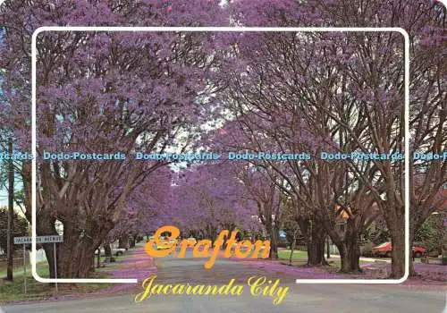 D236384 Grafton Jacaranda City Murray Views