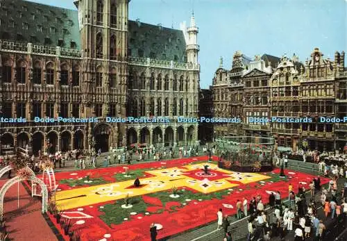 D236389 Brüssel Marktplatz Blumenteppich G Trimboli Nels Thill