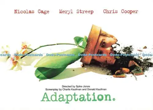 D234132 Adaption Nicolas Cage Meryl Streep Chris Cooper Boomerang