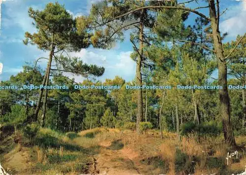 D229492 Le Touquet Paris Plage Yvon S P A D E M