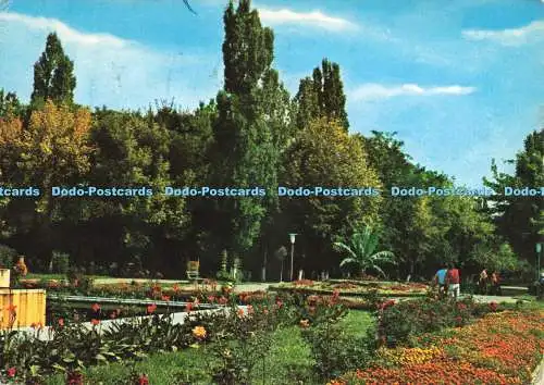D234172 Bacau Vedere di Parc Osedt