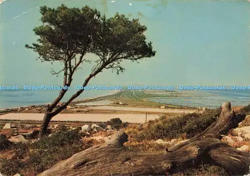 D234173 Sete Herault Vue Generale sur les Marals Salants et la Plage SL 1972