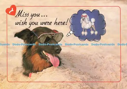 D234186 Miss You Wish You Were Here John Hinde Ltd 1994