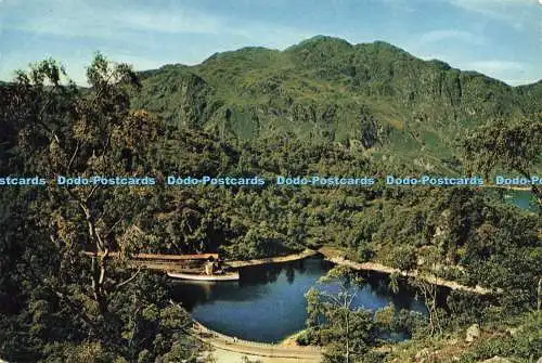 D229573 Perthshire The Trossachs Loch Katrine and Ben Venue J Arthur Dixon Ltd