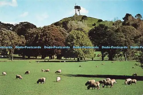 D236486 Neuseeland Auckland Cornwall Park und One Tree Hill Fotocentre