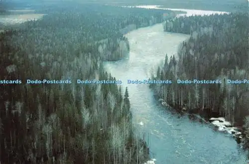 D232941 The Taiga V O Mezhudunarodnaya Kniga