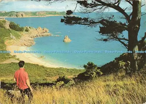 D229621 Trikot C I Beauport Jarrold and Sons Ltd Cotman Color Serie 1968