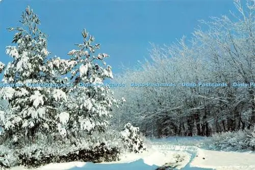 D232945 Russian Winter V O Mezhudunarodnaya Kniga
