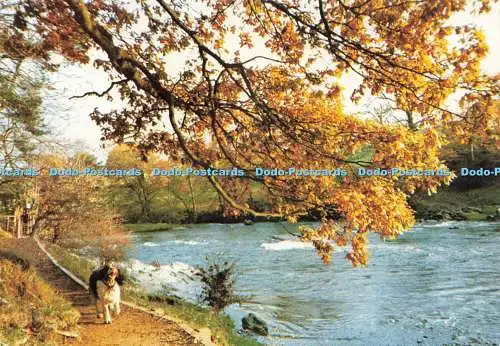 D236533 Kirkby Lonsdale am Fluss Lune Lochmere David Firth 1990