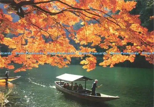 D229645 Kyoto Ohigawa Maple Pin Up Co Ltd