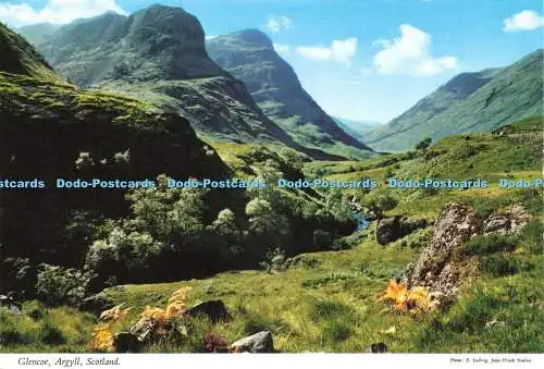 D232991 Scotland Argyll Glencoe John Hinde Ltd E Ludwig