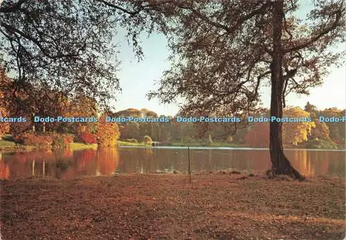 D234304 Stourhead Gardens Autumn View National Trust Judges Limited Jeremy Whita