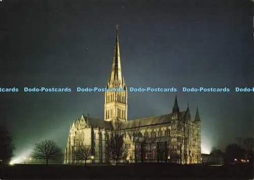 D233004 Wiltshire Salisbury Cathedral Floodlit J Arthur Dixon Ltd