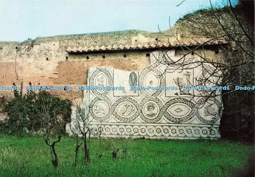D234319 Ostia Antica Mosaik aus dem Hause Doli MA PI R Kodak Ektachrome