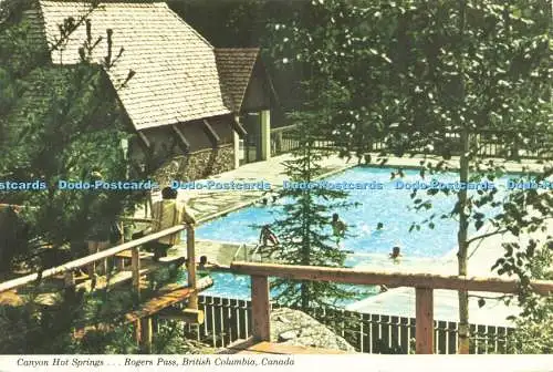 D238892 Canada Canyon Hot Springs Rogers Pass British Columbia Canadian Souvenir