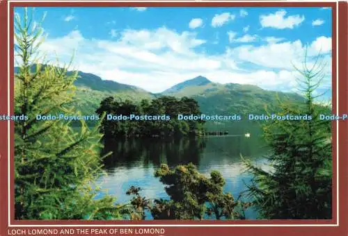 D233035 Loch Lomond and the Peak of Ben Lomond Whiteholme Ltd Hail Caledonia Pro