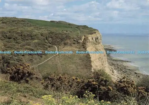 D238930 Fairlight Near Hastings The Cliffs and Country Walk Judges C 8138