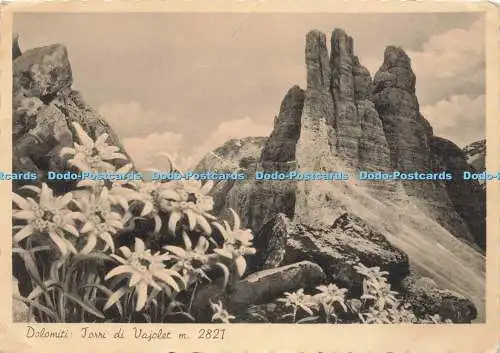 D233057 Dolomiti Torri di Vajolet M 2821 L Franzl