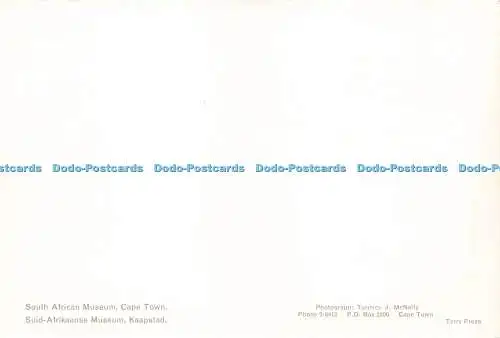 D229735 Kapstadt Südafrikanisches Museum Terry Press Terence J McNally