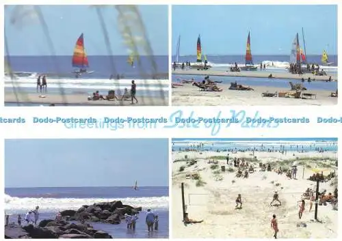 D233061 Grüße von der Isle of Palms Charleston Postkarte Co B Riggs und R Young