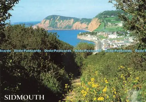 D229740 Sidmouth East Devon Blick von Salcombe Hill J Salmon Ltd Kameracolour 20