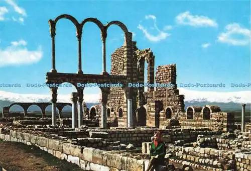 D234385 Libanon Anjar Liban Byzantine and Ommayad Ruins Telko Sport